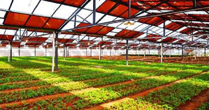 Agricultural solar power system