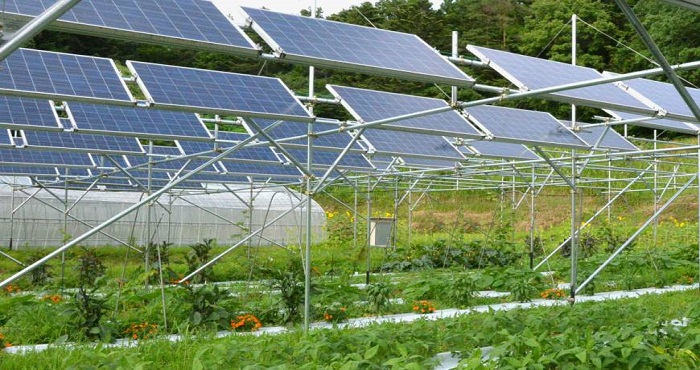 Farm solar pumping installation